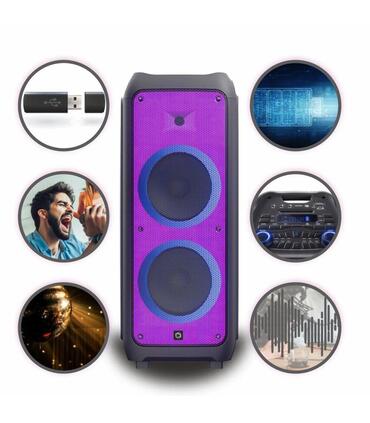 spk5450-power-audio-speaker-phantom-2x10-300w